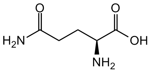 Glutaminezuur bij Fitem