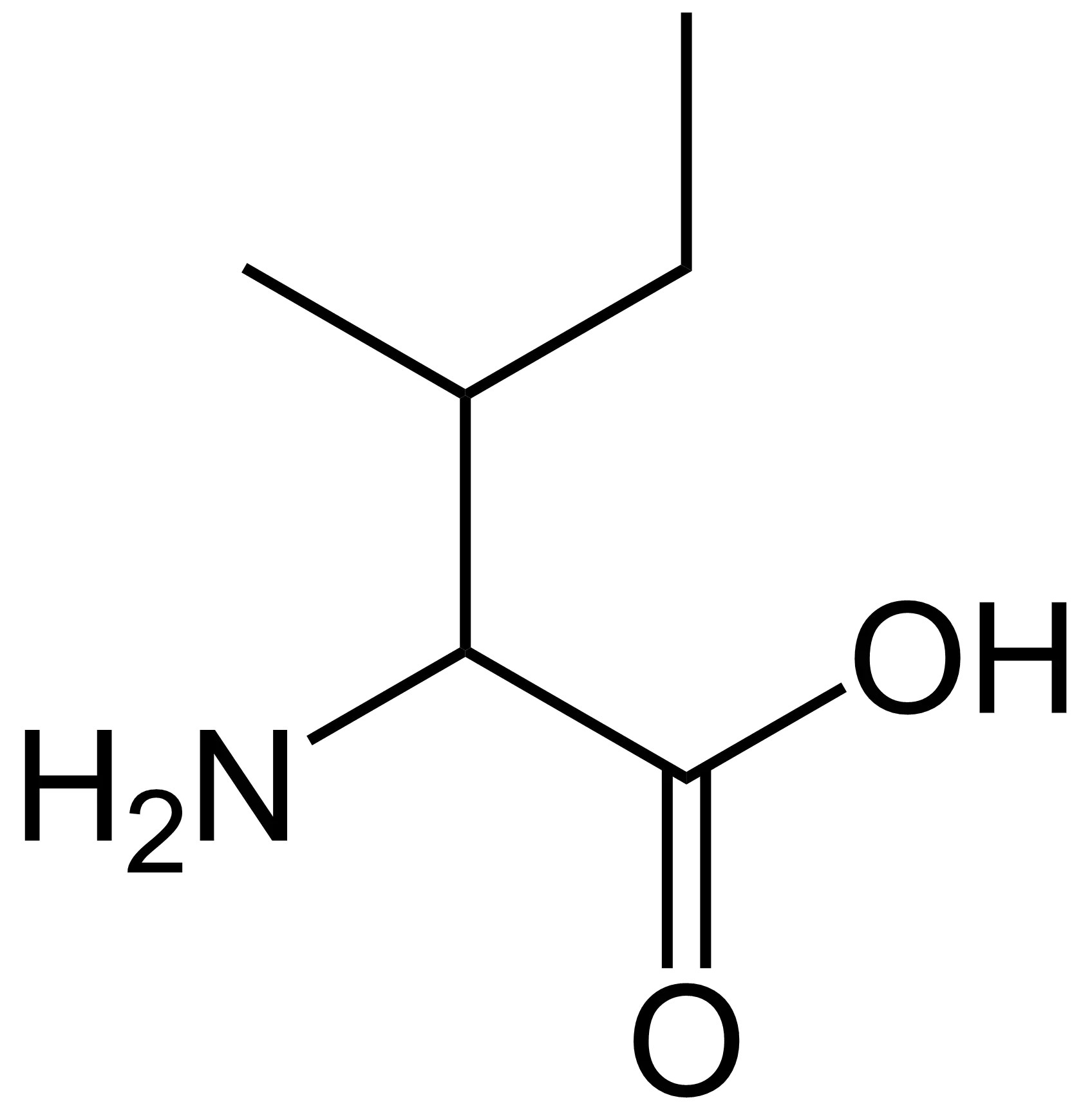 Isoleucine bij Fitem