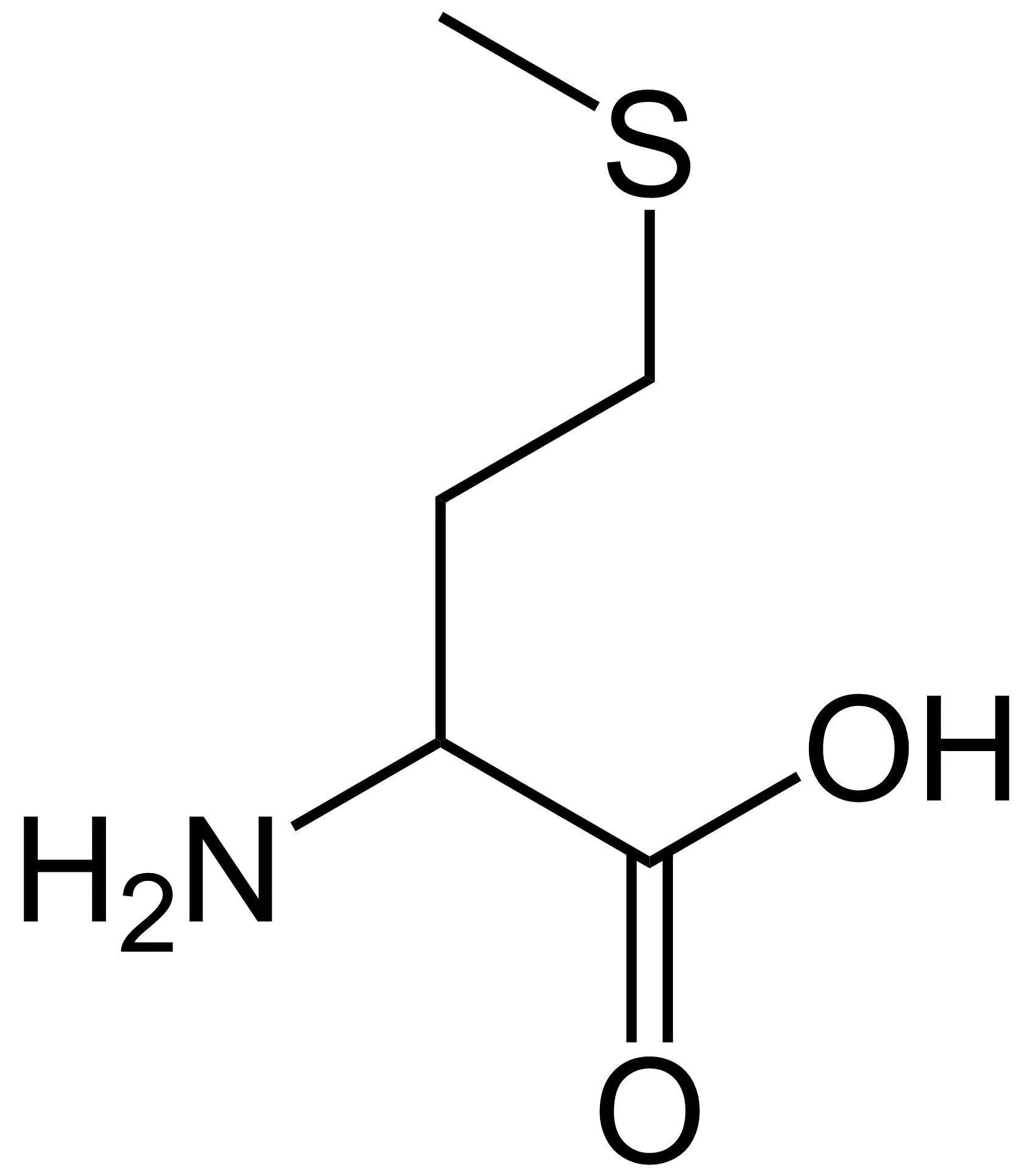 Methionine bij Fitem