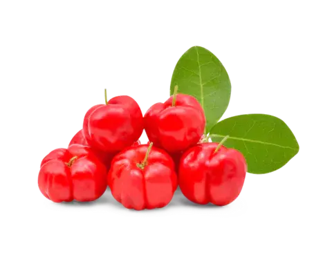 Acerola bij Fitem