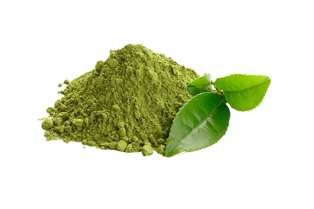 Groene thee extract bij Fitem