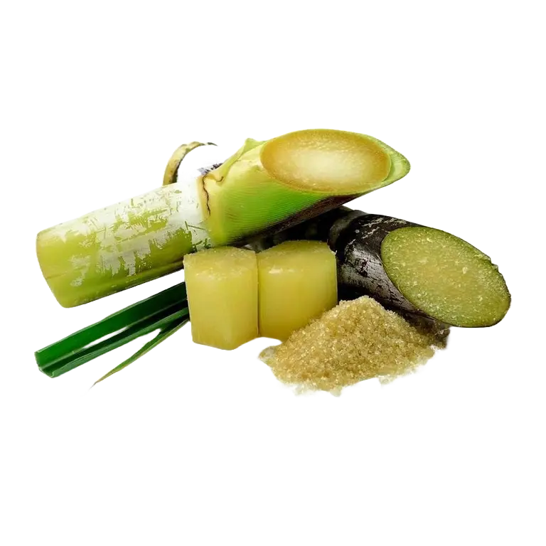 Policosanol complex bij Fitem